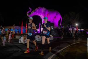 BIB: 
                            <button type="button" onclick="openModal(26552233)" class="btn btn-primary btn-sm float-right btn-popup" data-toggle="modal" data-target=".modal-high-quality">
                        <i class="fas fa-shopping-cart"></i> Add to Cart
                    </button>
                                            <button type="button" onclick="isThisMe(26552233, true)" class="btn btn-success btn-sm float-right btn-popup btn-isme hidden" data-toggle="tooltip" data-placement="bottom" title="นี่คือรูปของคุณใช่ไหม คลิกที่นี่เพื่อเอาเข้าอัลบั้ม">
                        <i class="fas fa-plus"></i> Add to album
                    </button>
                    <button type="button" onclick="isThisMe(26552233, false)" class="btn btn-warning btn-sm float-right btn-popup btn-isnotme hidden">
                        <i class="fas fa-ban"></i> Remove from album
                    </button>